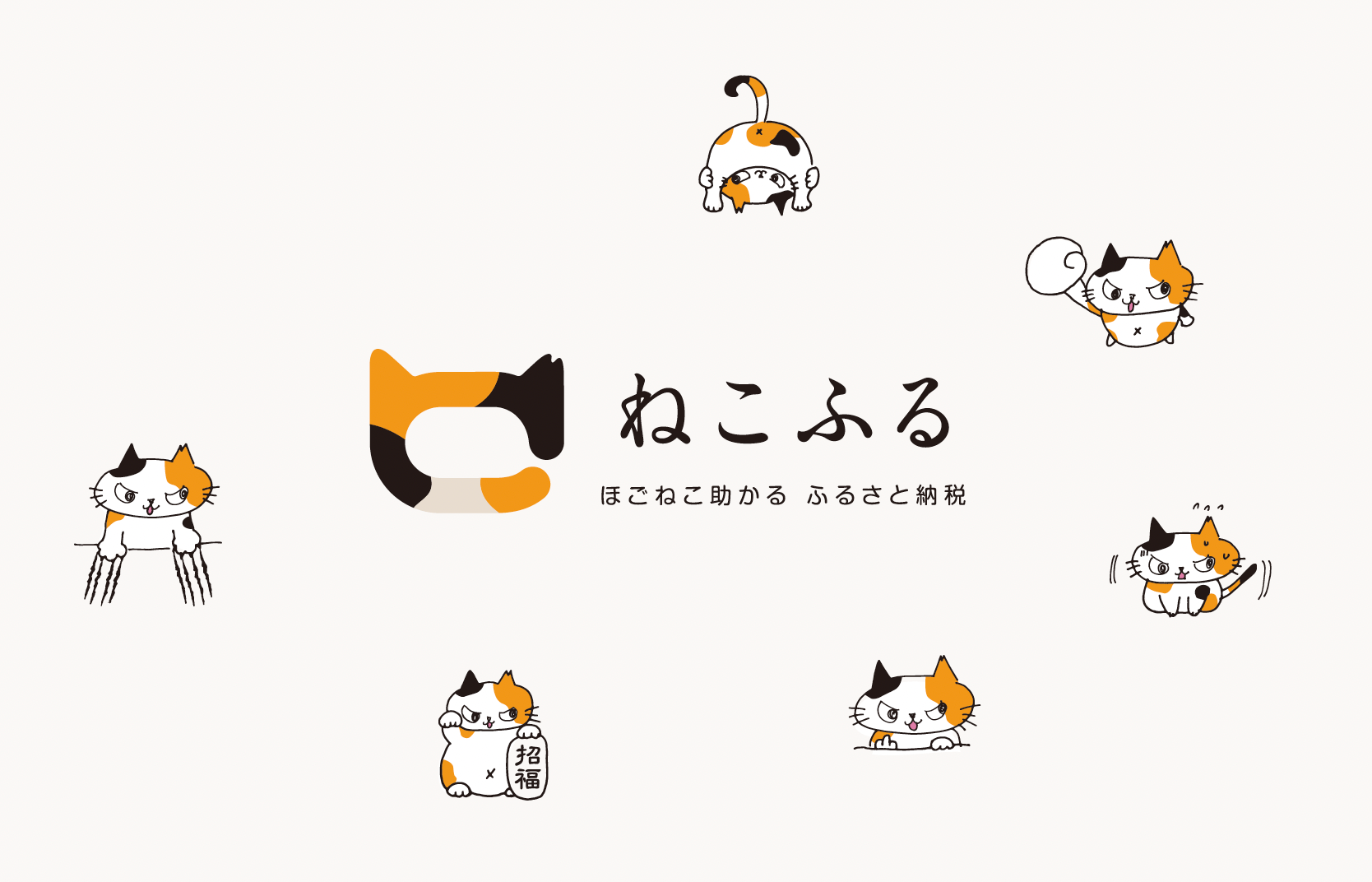猫助け資金調達大革命！持続可能な保護猫活動を支えるインフラ「ねこ