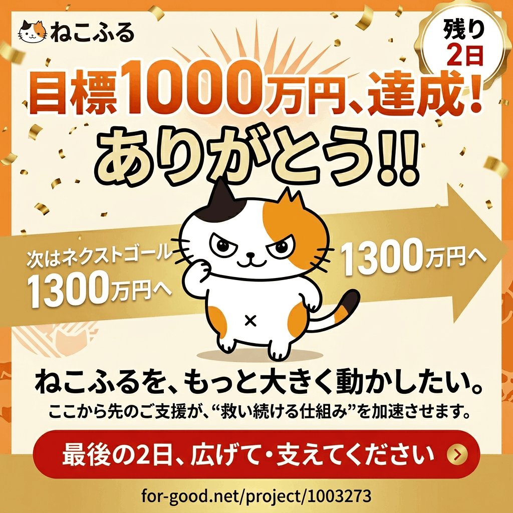 猫助け資金調達大革命！持続可能な保護猫活動を支えるインフラ「ねこ