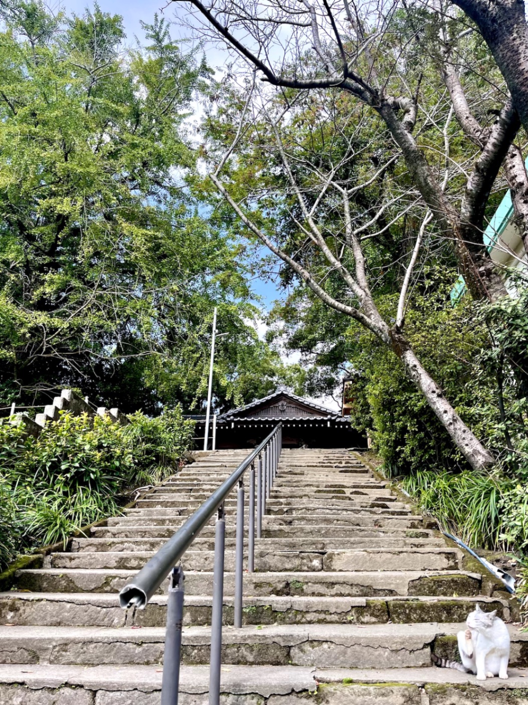 鹿児島｜長田神社】クラウドファンディングで再建した、神社の未来を