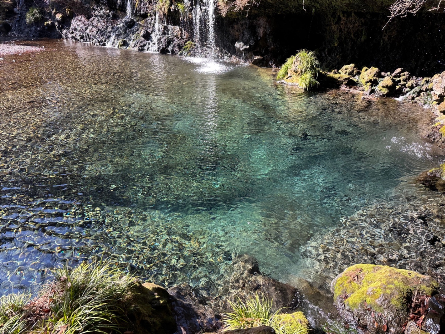日本の宝「命の水と森」を子どもたちへ残す。財団法人『地球防衛群
