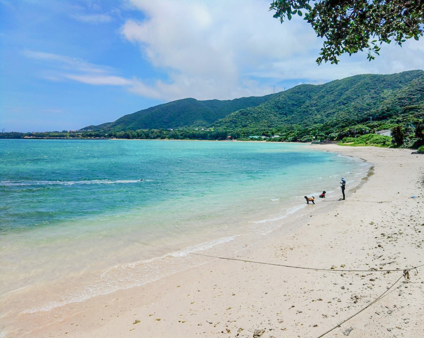 世界自然遺産 奄美大島・芦徳集落 美しい山と海との暮らしを未来にのこ