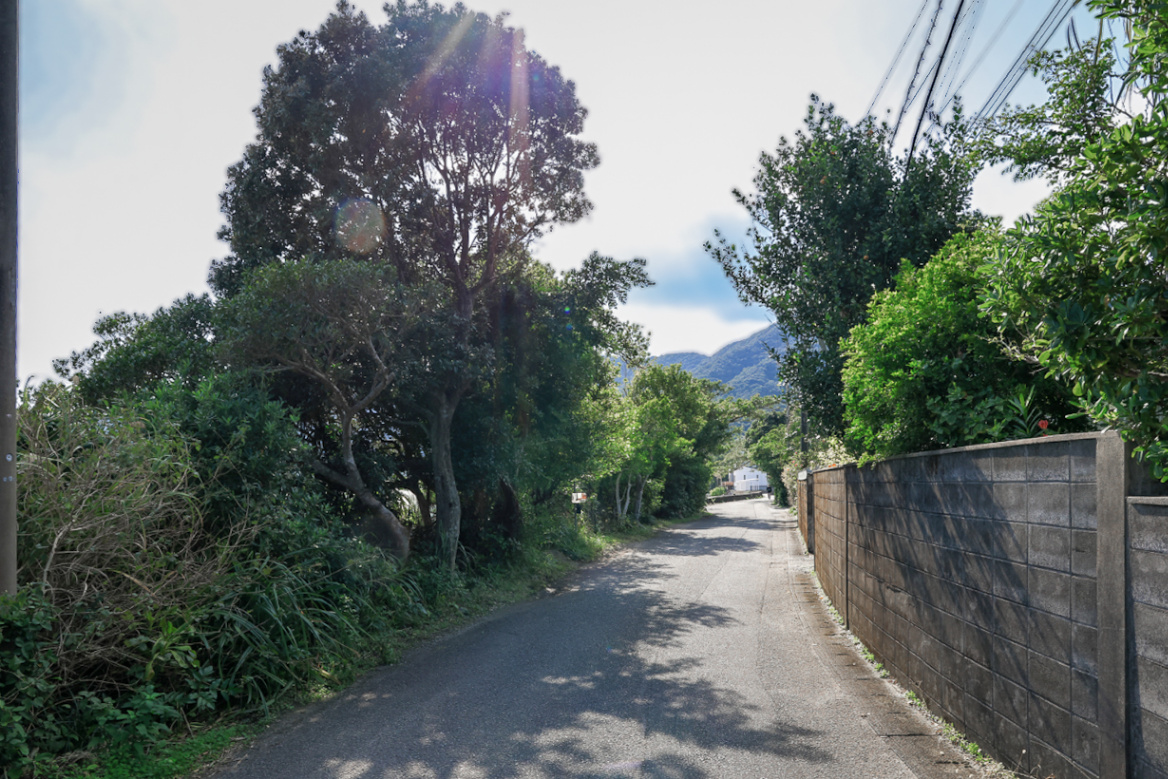 世界自然遺産 奄美大島・芦徳集落 美しい山と海との暮らしを未来にのこ