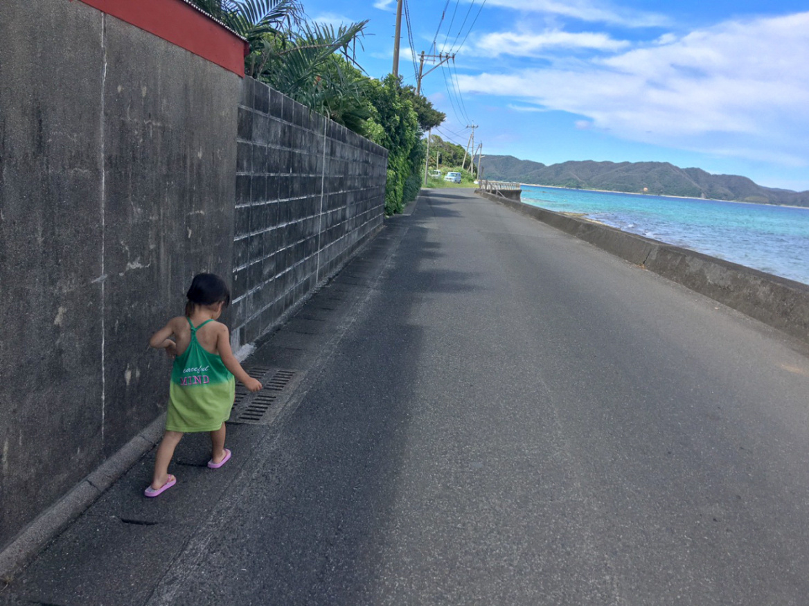 世界自然遺産 奄美大島・芦徳集落 美しい山と海との暮らしを未来にのこ