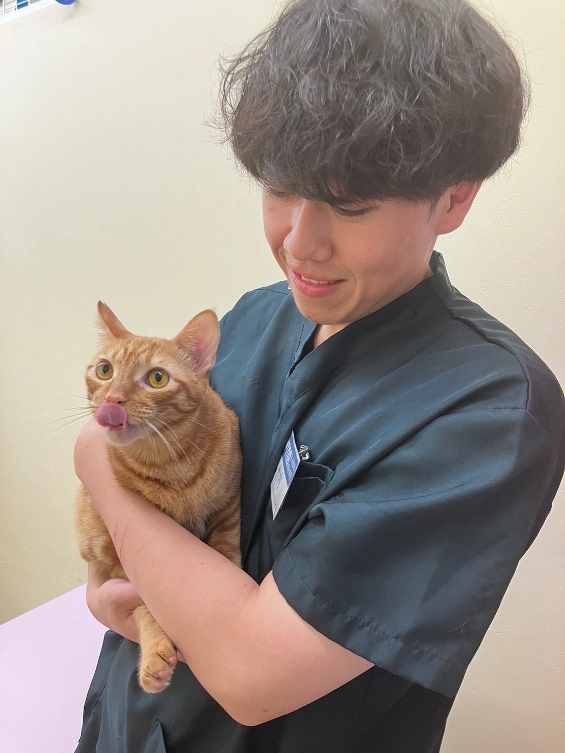 継続第3弾『猫の医療費支援プロジェクト』動物愛護を未来へ繋ぐ！看護