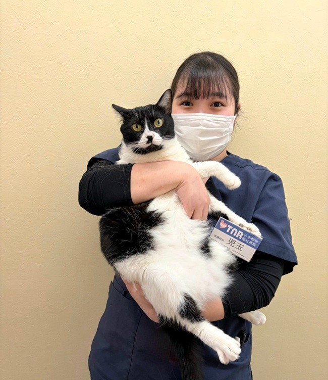 継続第3弾『猫の医療費支援プロジェクト』動物愛護を未来へ繋ぐ！看護