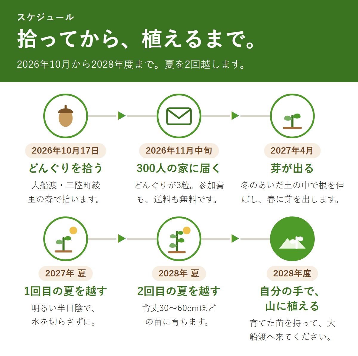 大船渡の林野火災から未来の森を。ドングリを拾い、みんなで育て、植樹
