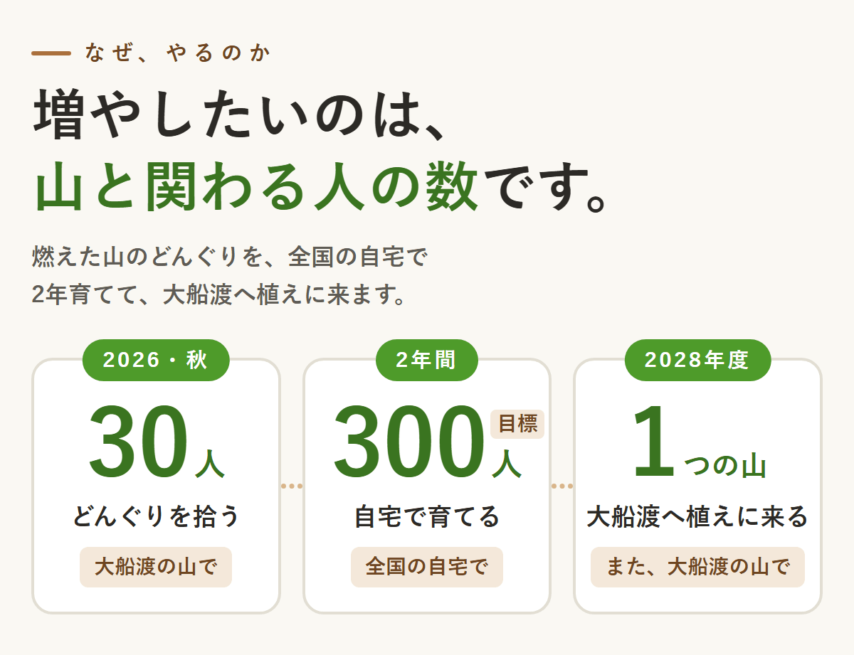 大船渡の林野火災から未来の森を。ドングリを拾い、みんなで育て、植樹